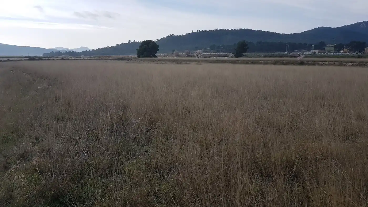 Finca rústica en venda en Salinas