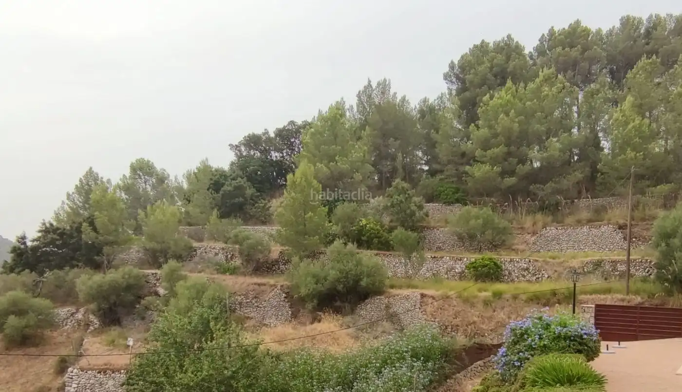 Terreny residencial en venda a Camí Comellar de ses Olibes 6, imagen 4