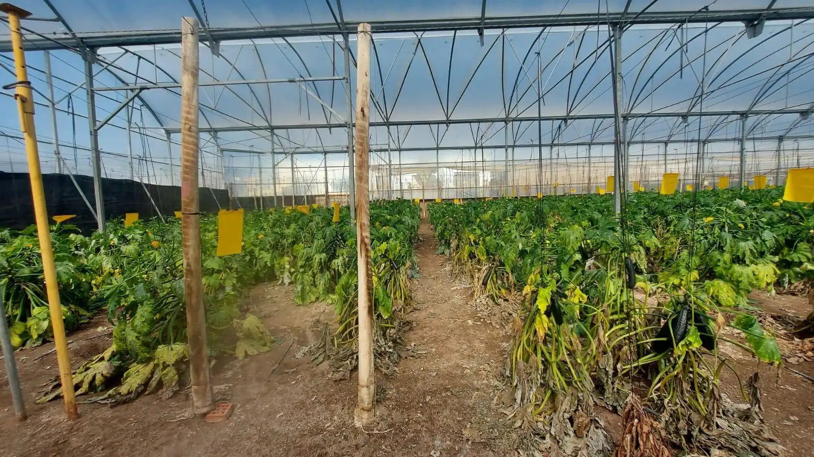 Residential land for sale in La Mojonera, imagen 7