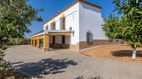 Foto 3 de Finca rústica en venta en Carretera Diseminados 2, Carmona, Sevilla