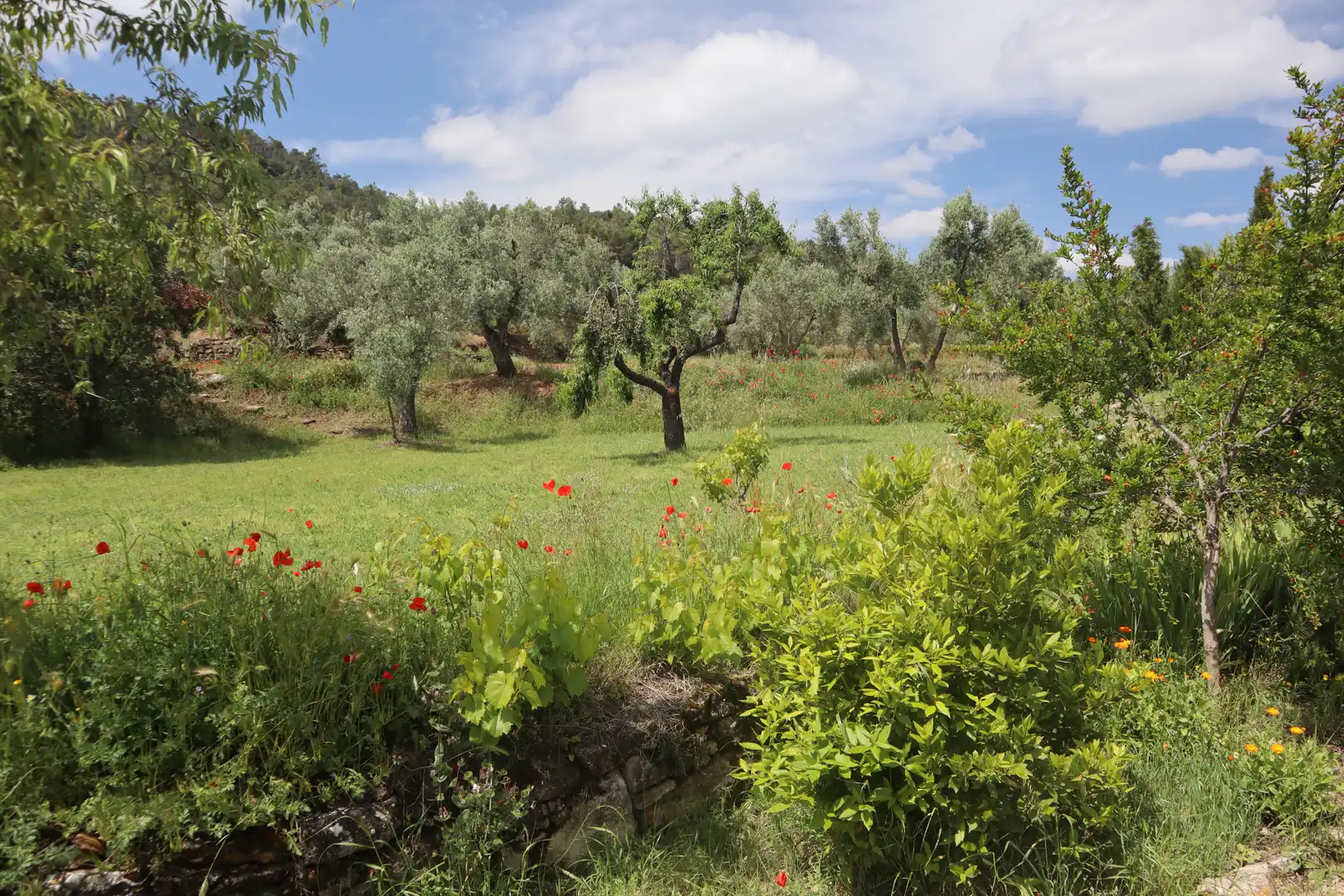 Terreni e lotti in vendita a La Fresneda, imagen 25