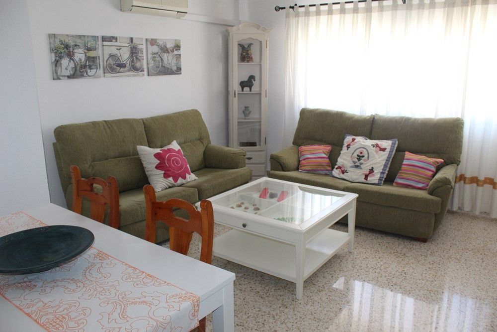 Living room of Flat to rent in Málaga Capital  with Air Conditioner, Heating and Furnished