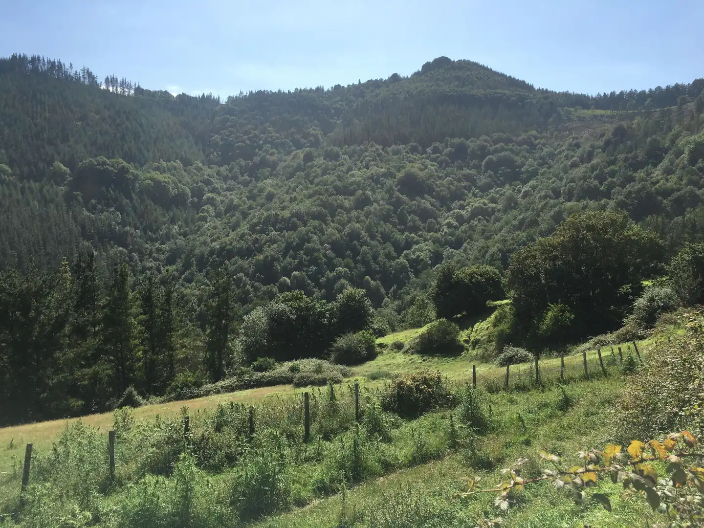 Finca rústica en venta en Beasain