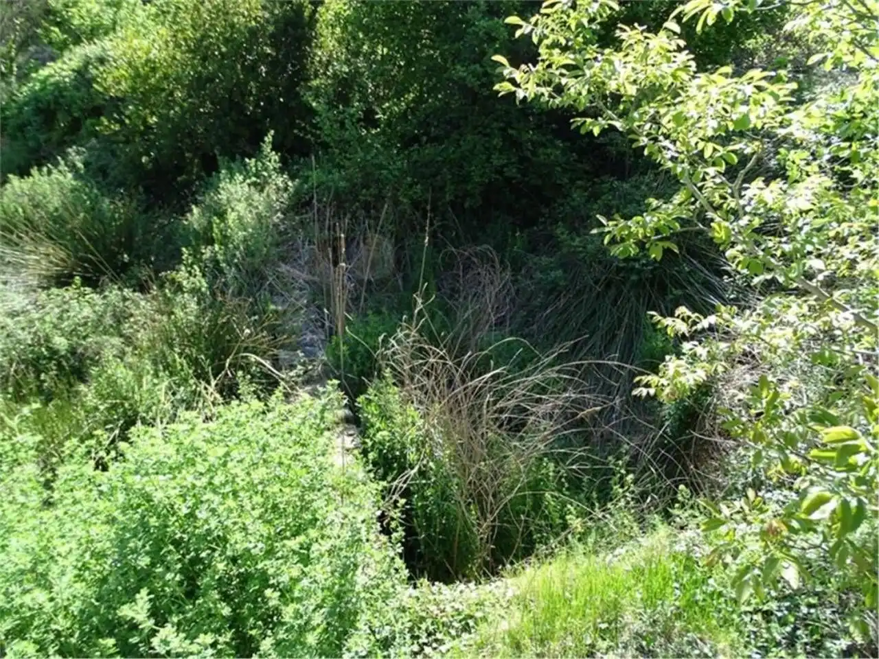 Wohnbaugrundstück zum Verkauf in Paüls, imagen 22