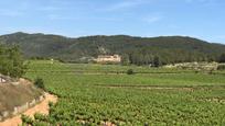 Vista exterior de Finca rústica en venda en Sant Pere de Ribes amb Jardí privat, Terrassa i Traster