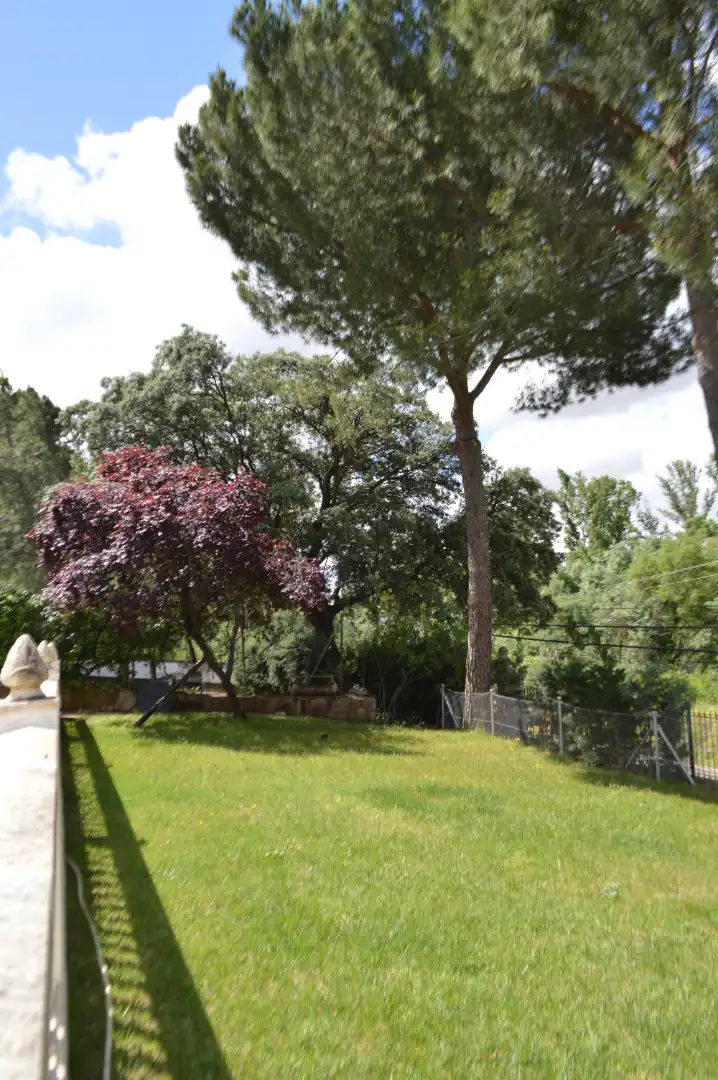 Jardín de Casa o chalet en venta en Batres con Calefacción, Jardín privado y Terraza
