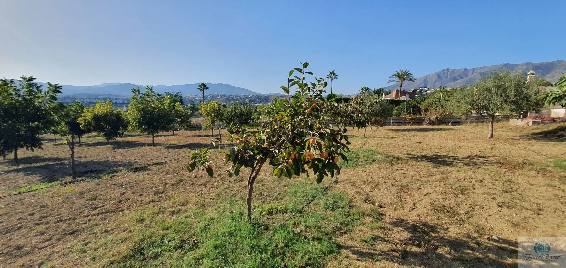 Casa rústica en venda a Campo de Mijas, imagen 30