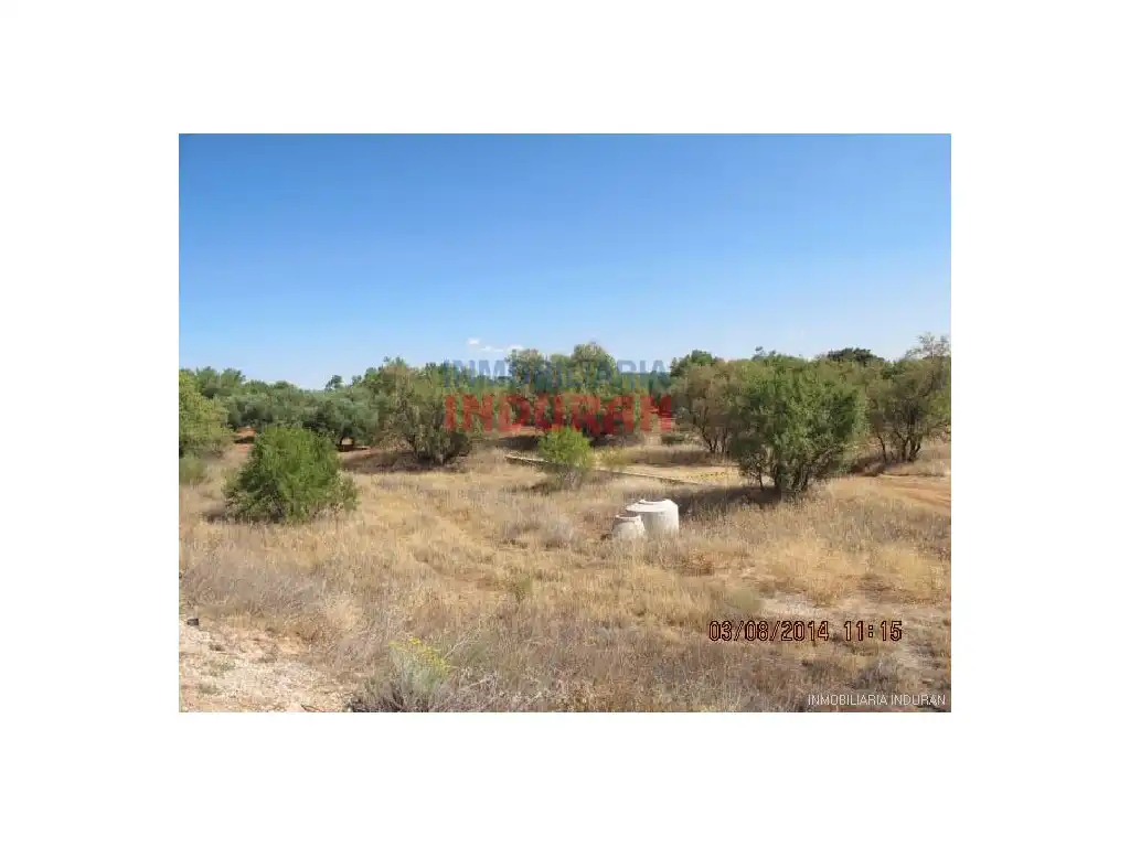 Finca rústica en venda en Almedina