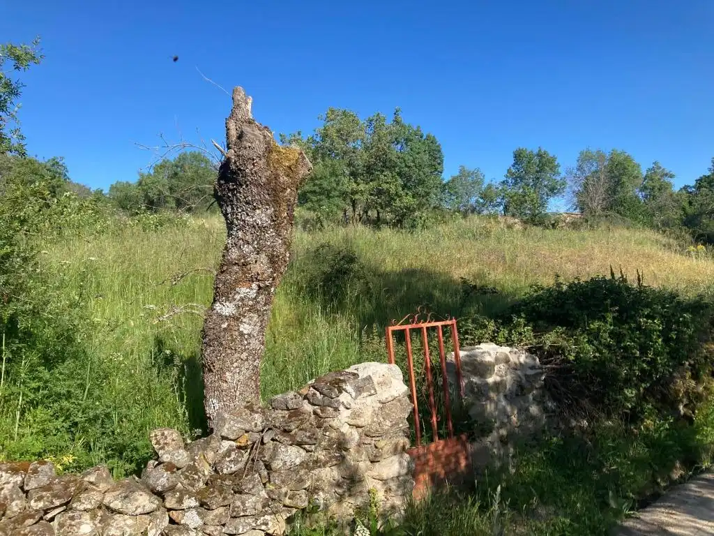 Rural land for sale in Villavieja del Lozoya
