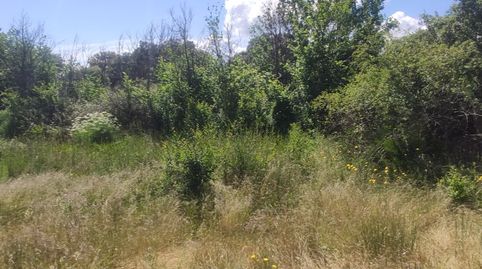 Finca Dehesa Extremeña 35000mt., immagine 5
