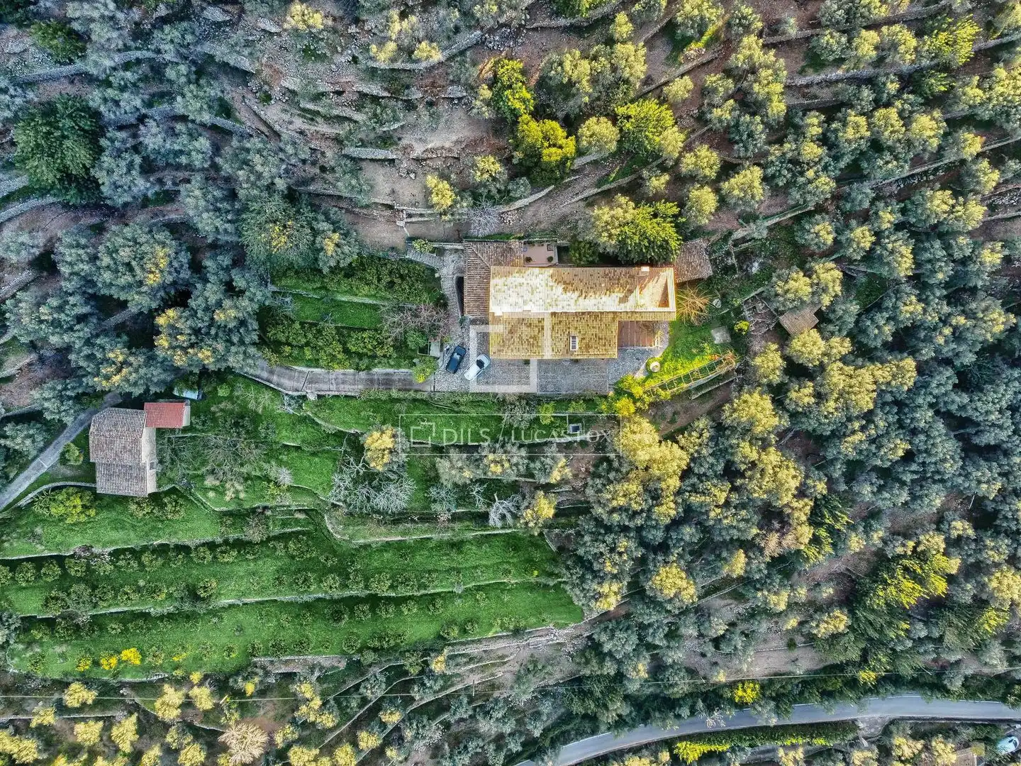 Casa rústica con jardín en venta en Sóller, imagen 31