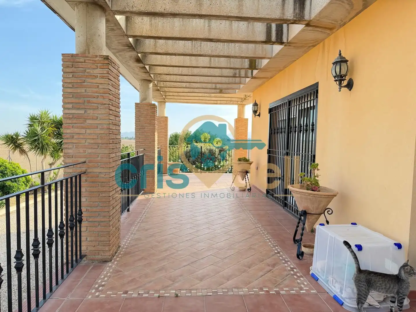 Detached house with terrace for sale in Pedanías Centro, imagen 6