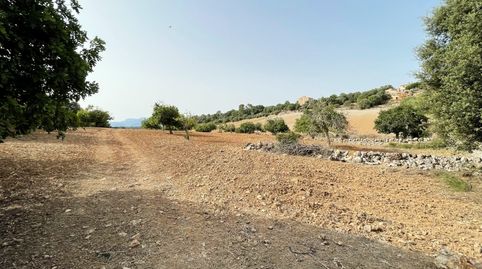 Terreno en Mallorca para casa de campo, Sineu