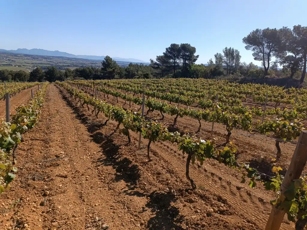 Rustikales Grundstück zum Verkauf in Sant Julià, imagen 2