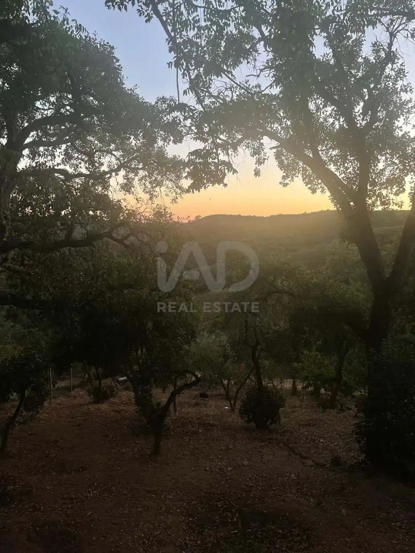 Terreno en venta en Berrocal