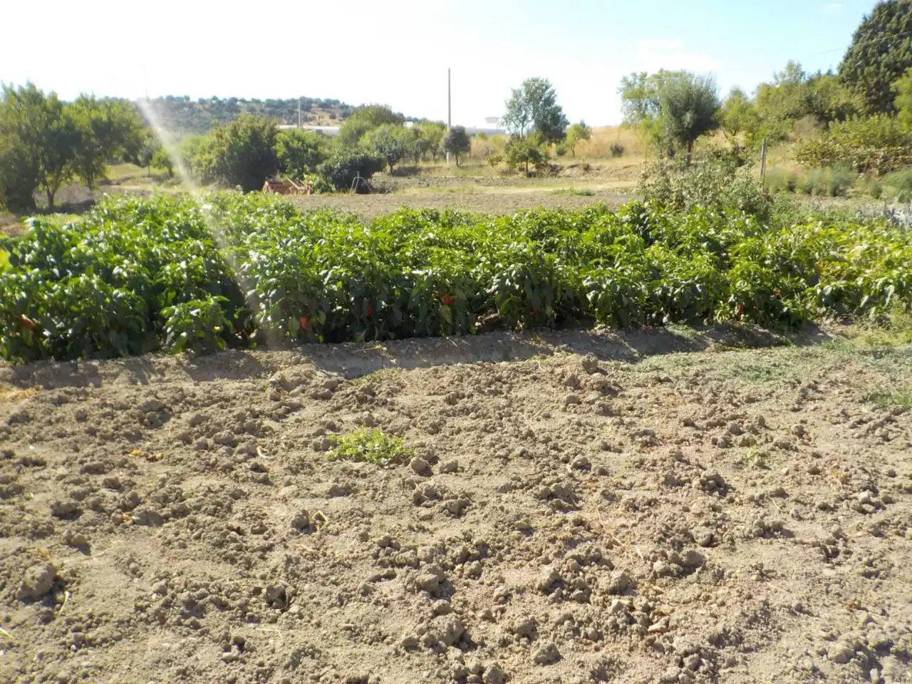 Detached house with garden for sale in Poligono 15, imagen 15