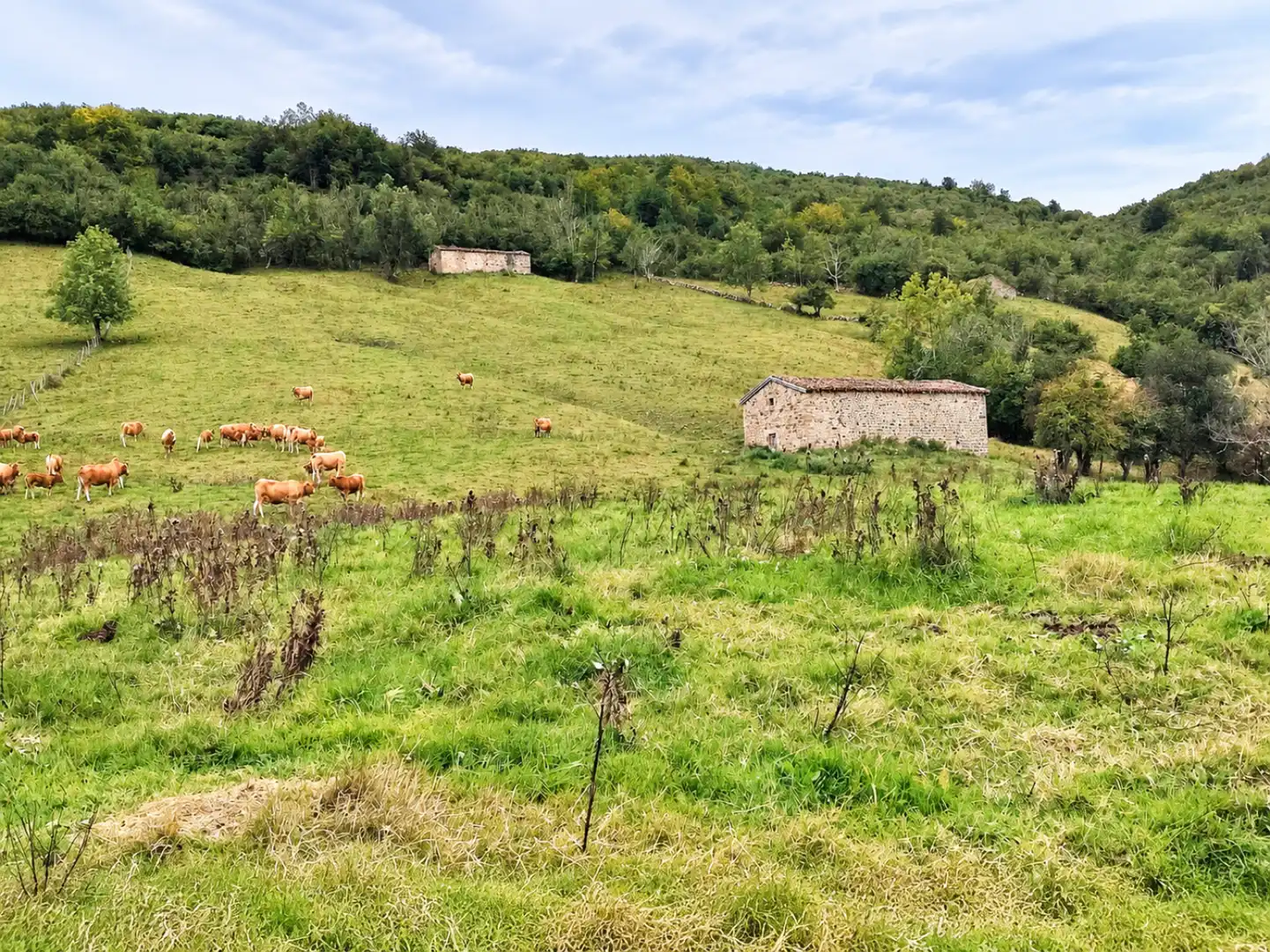 Casa amb jardí en venda a San Sebastián de Garabandal - MATAZORRA, imagen 10
