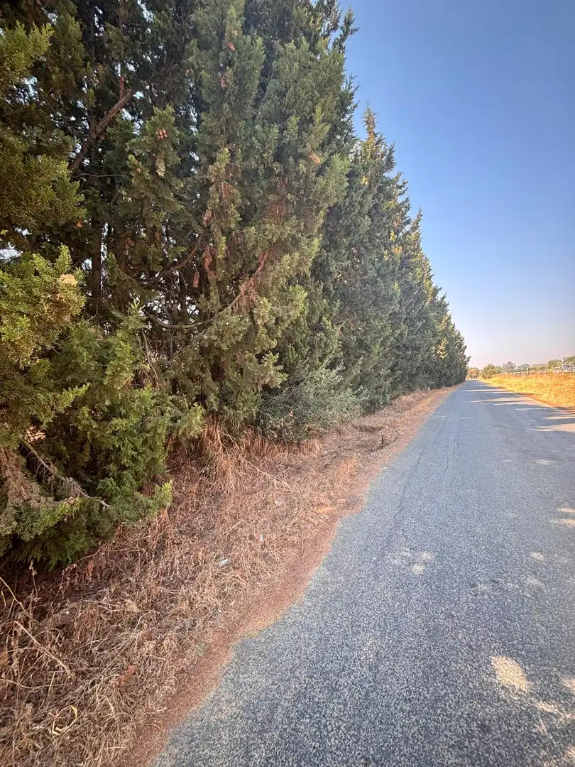 Finca rústica en venda en Huévar del Aljarafe amb Jardí privat, Traster i Piscina
