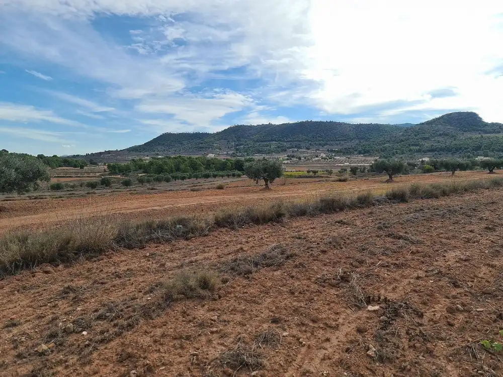 Terreno residencial en venta en El Pinós / Pinoso, imagen 9