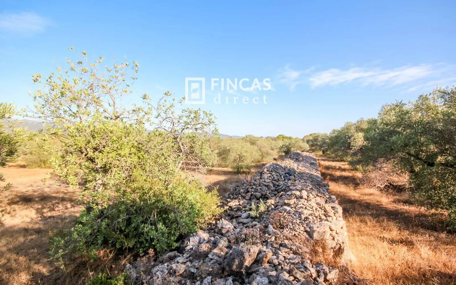 Country homes for sale in Xerta