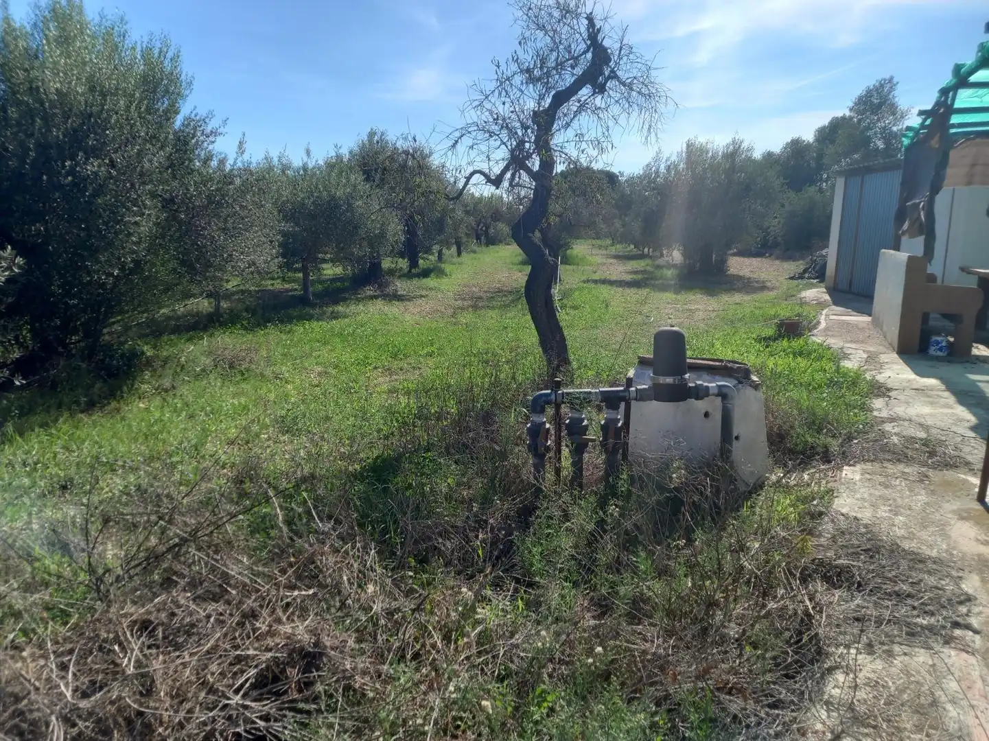Terreno rústico en venta en Móra d'Ebre, imagen 19