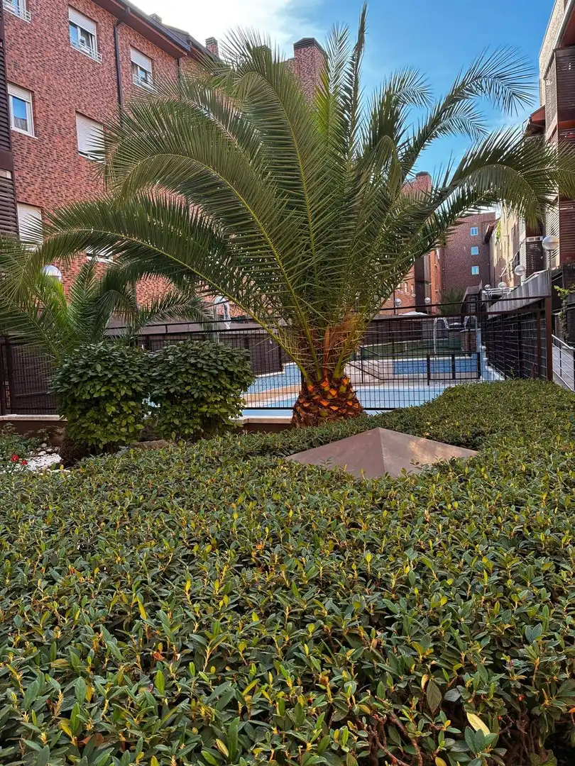Piscina de Pis en venda en Carabanchel