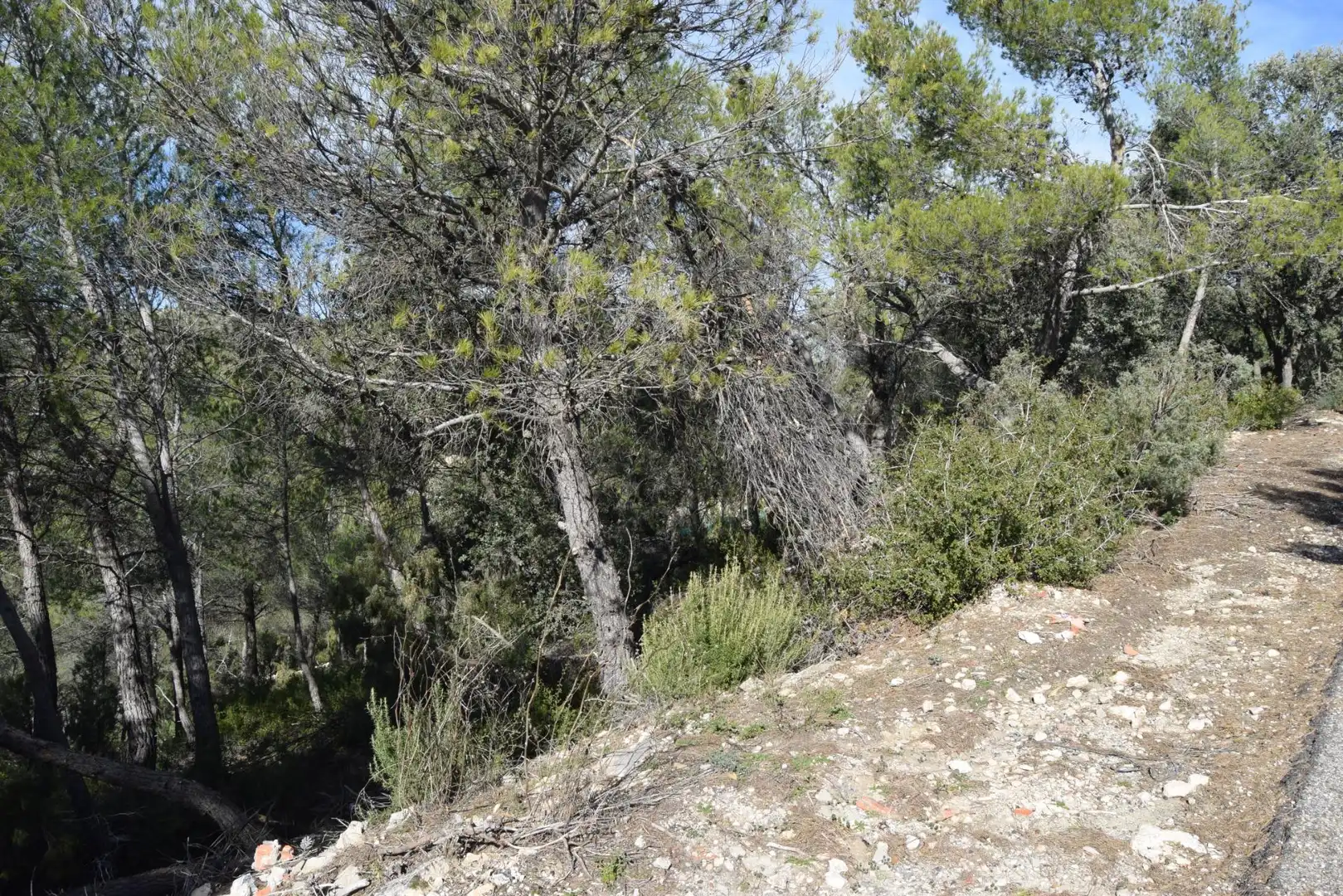 Residential land for sale in NUEVA SIERRA BX, imagen 7