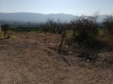 Terreno rustico in vendita a CL SAN FABIAN Nº 84
