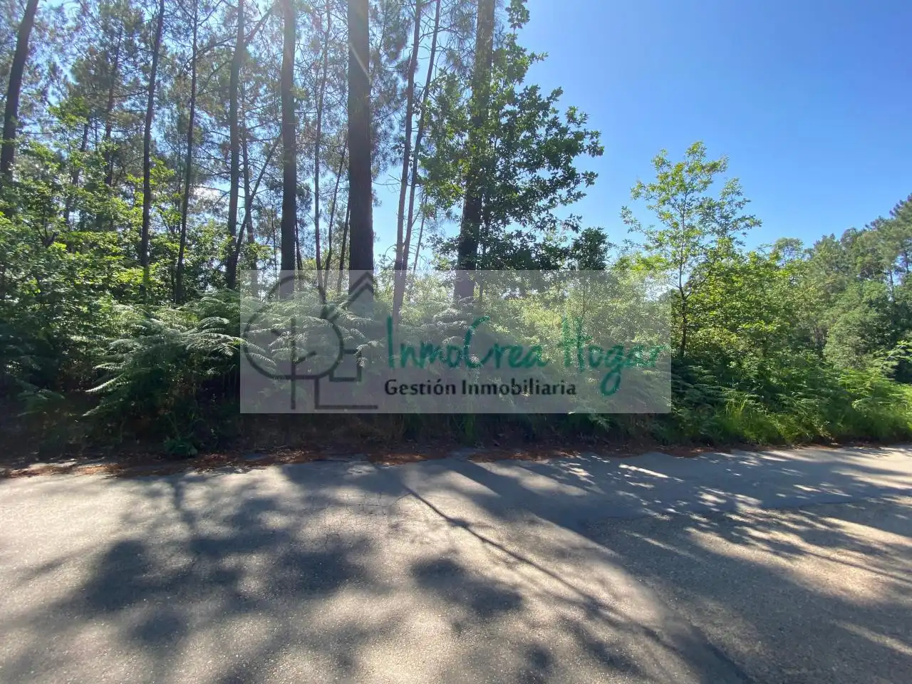 Lands and plots for sale in Salceda de Caselas, imagen 7