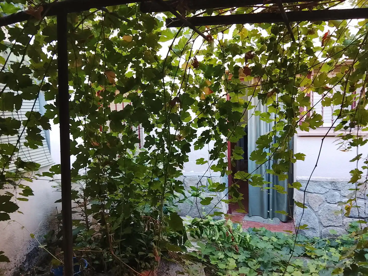 Jardín de Casa o chalet en venta en Arenas de San Pedro con Jardín privado y Trastero