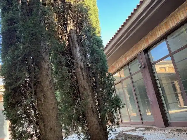 Exterior view of Buildings for sale in Almansa