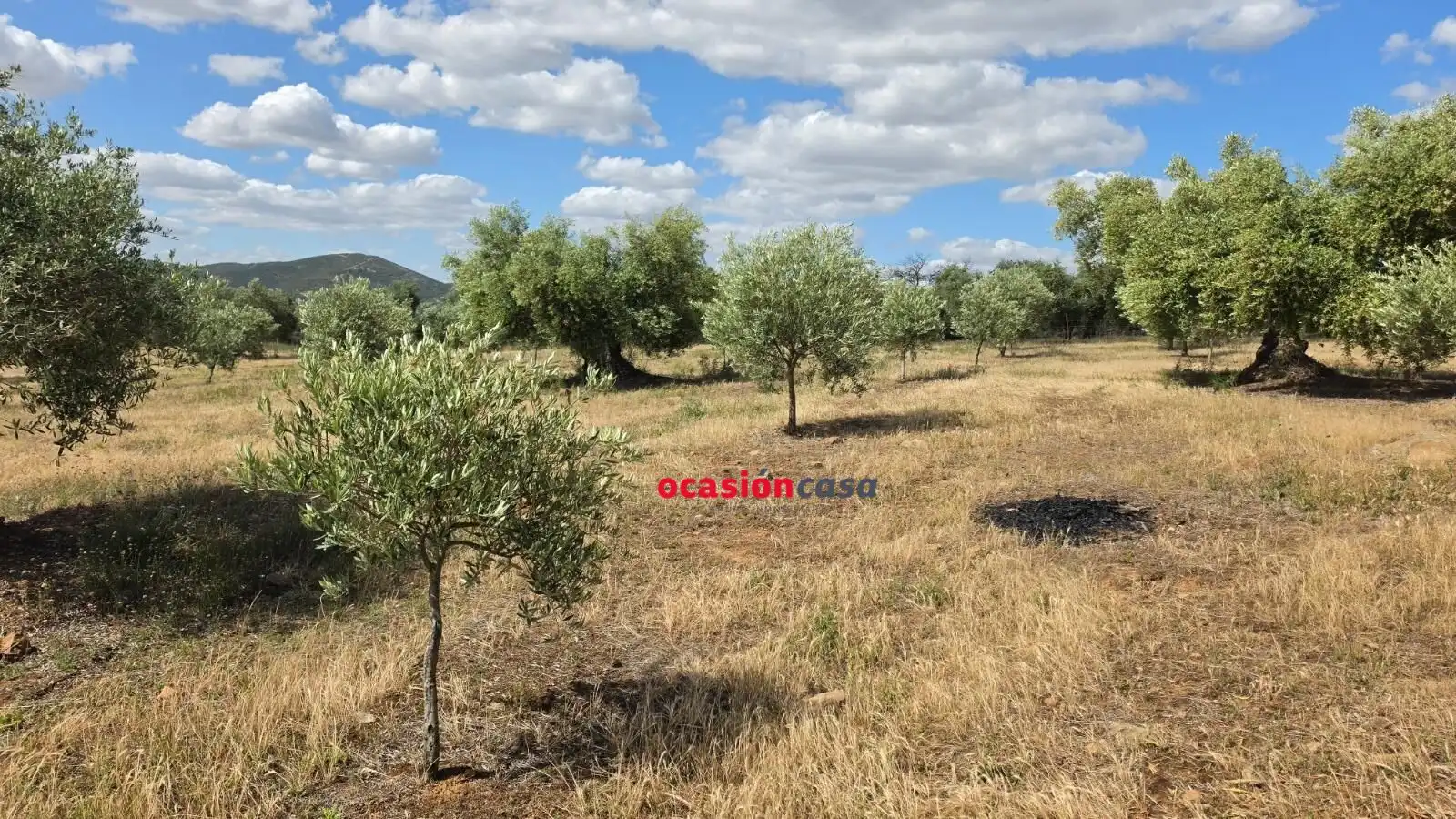 Residential land for sale in Fuente Obejuna, imagen 5