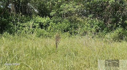 Foto 3 de Finca rústica en venda a Miraflores de la Sierra, Madrid