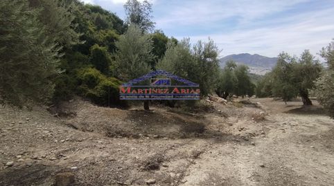 Immagine 3 dell'annuncio