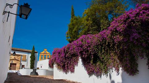 Photo 2 of Flat for sale in Calle Alfaros, Sta. Marina - San Andrés - San Pablo - San Lorenzo,  Córdoba Capital