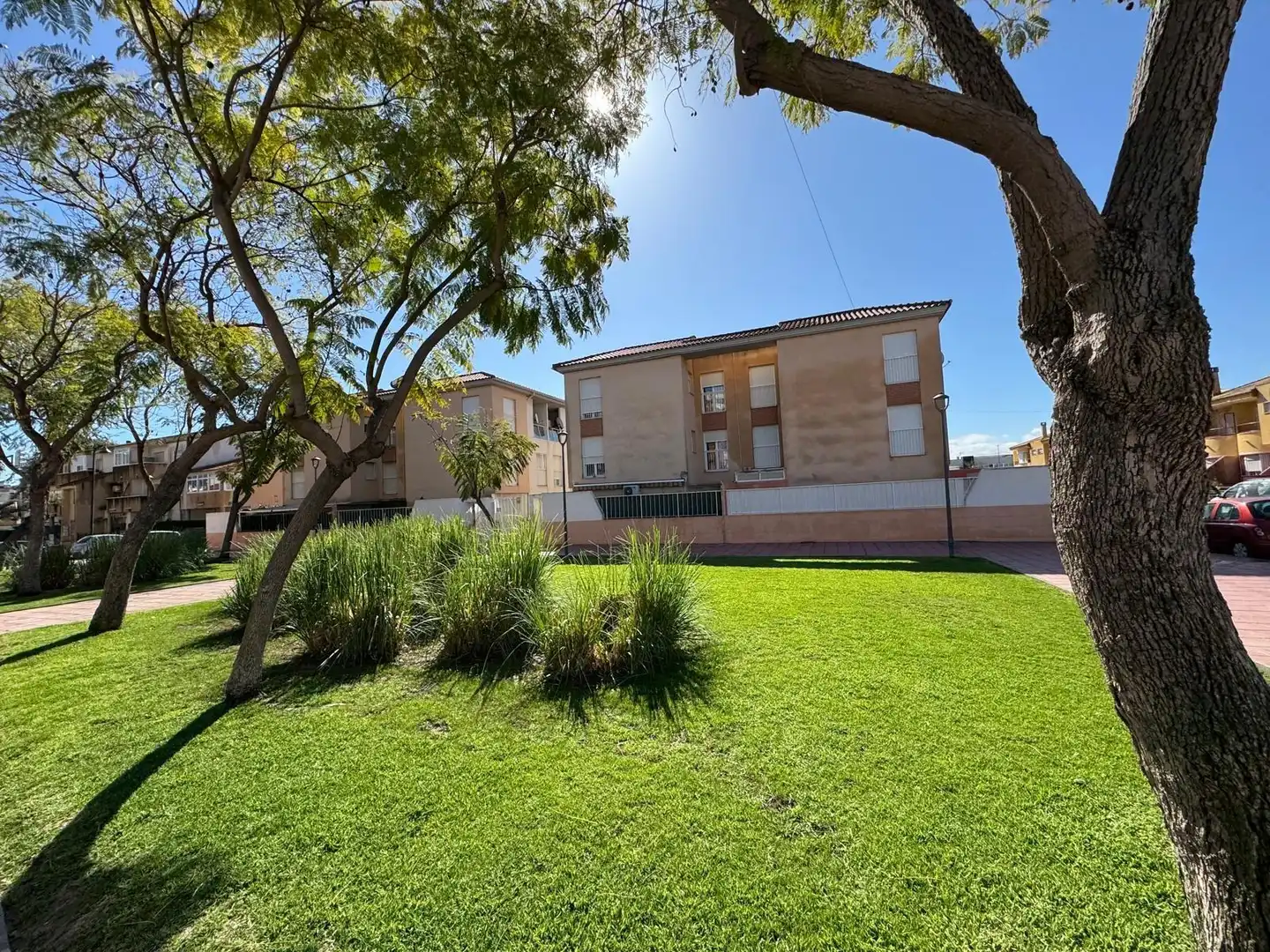 Exterior view of Detached homes for sale in Santomera