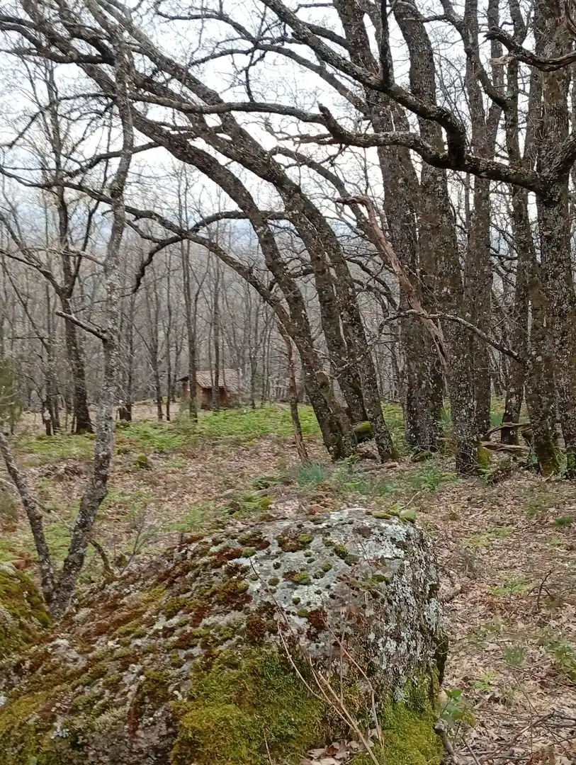 Terreni e lotti in vendita a Valverde de la Vera, imagen 61