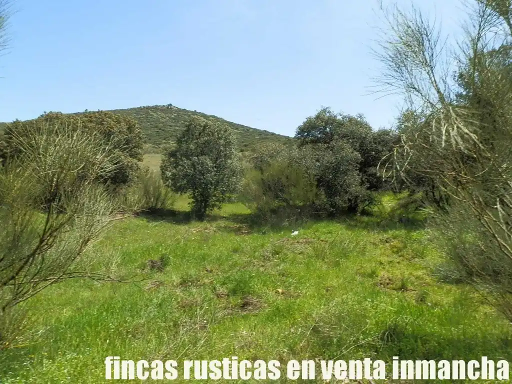 Rural land for sale in Calzada de Calatrava, imagen 10