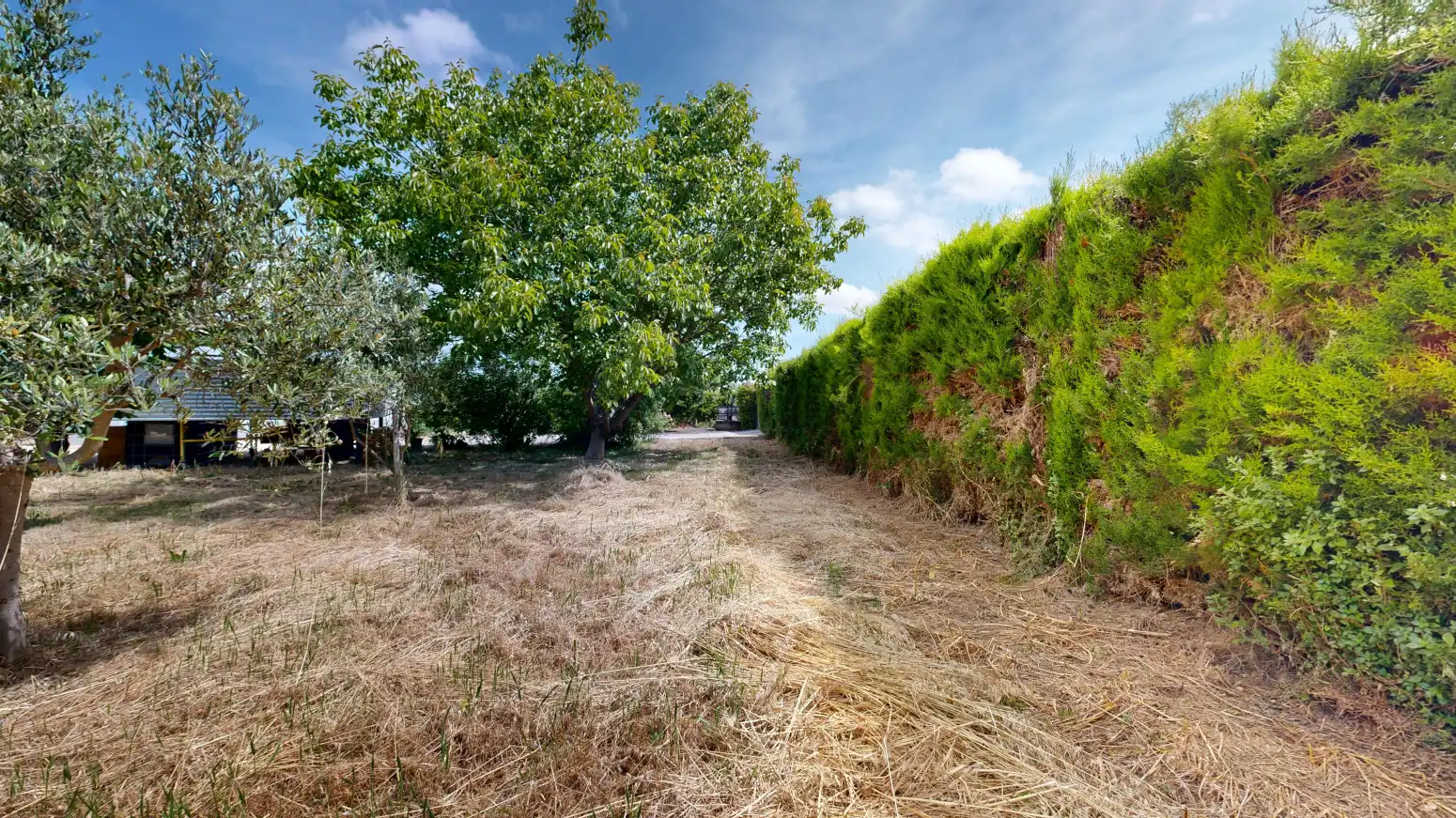 Rural land for sale in Tafalla - PARAJE LA RECUEJA, imagen 65