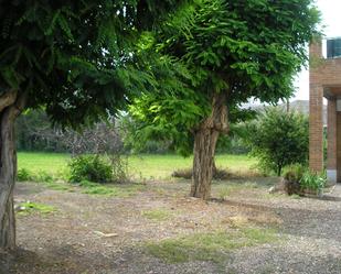 Casa o xalet en venda en Terrer amb Terrassa