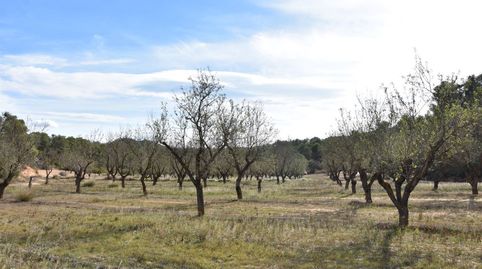 Finca rústica en Calaceite, immagine 3