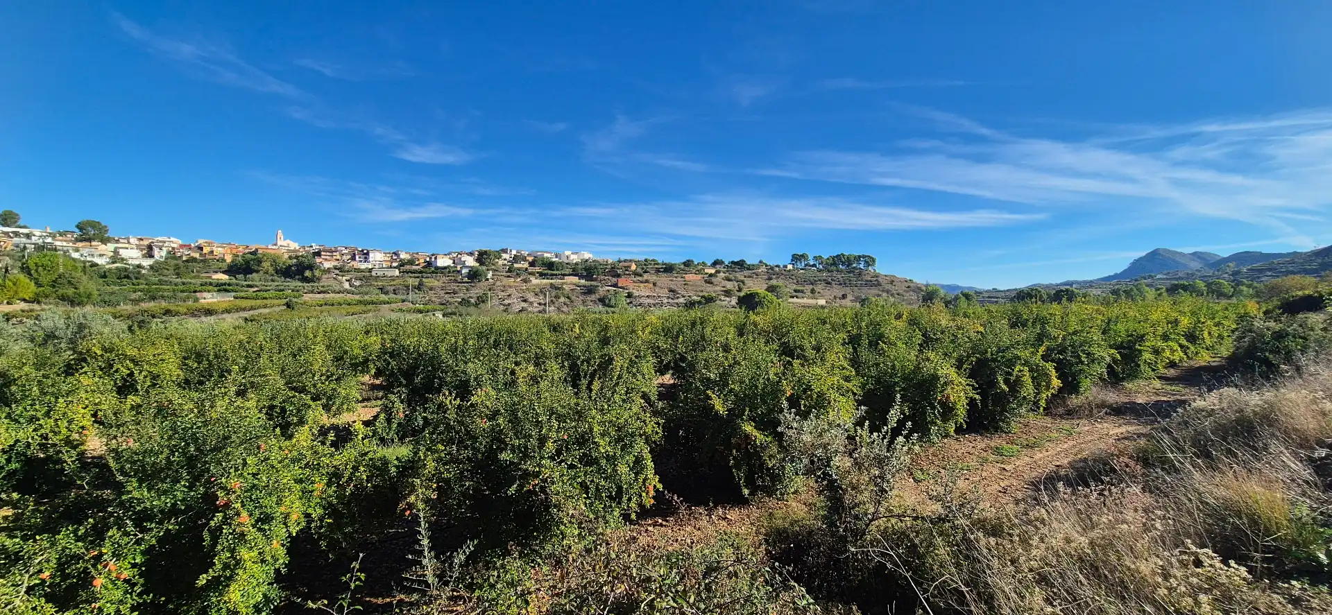Maison rustique avec jardin à vendre à Avinguda Constitució 13, imagen 19