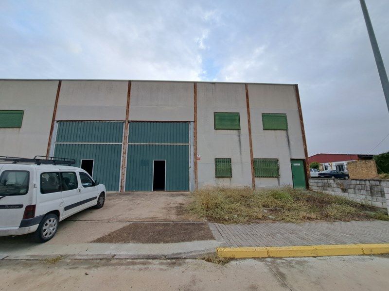 Vista exterior de Nau industrial en venda en Pedro Abad amb Alarma