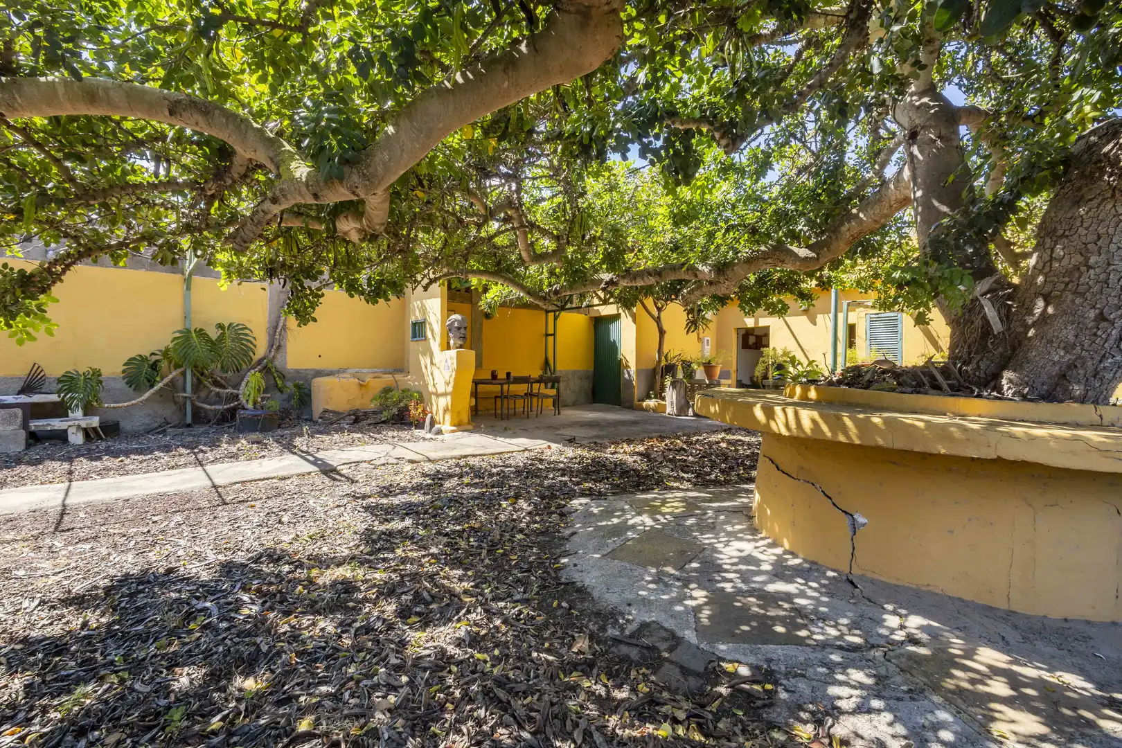 Garten von Haus oder Chalet zum Verkauf in San Cristóbal de la Laguna mit Privatgarten, Terrasse und Abstellraum