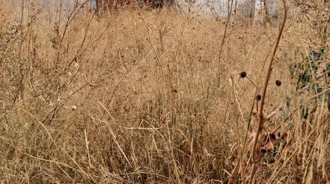 Foto 4 de Residencial en venta en Calle de Los Mártires Fuenlabrada, Centro, Fuenlabrada