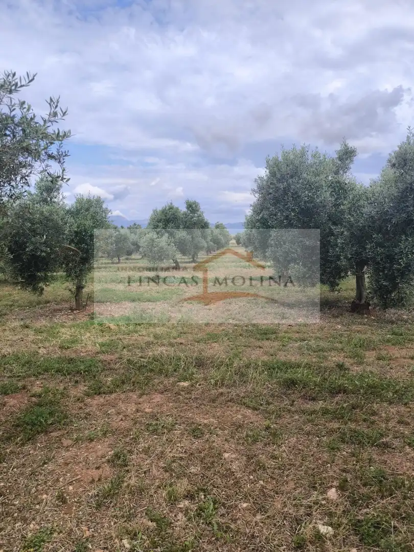 Terrenys i solars en venda a Sa Pobla, imagen 20