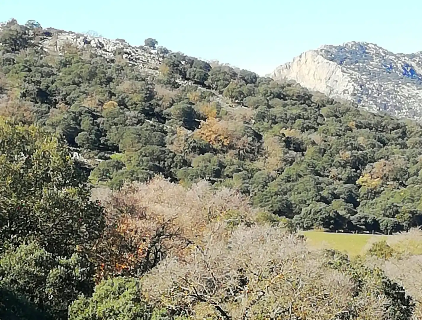 Casa rústica amb jardí en venda a Zafarraya, imagen 33