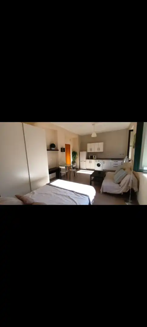 Schlafzimmer von Wohnung zur Miete in Málaga mit Möbliert