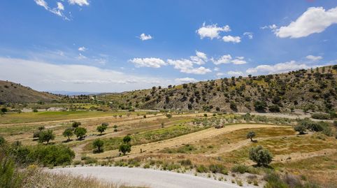Foto 5 de Finca rústica en venta en N/a, Vélez-Rubio, Almería