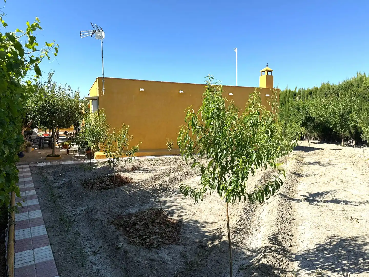 Terreno rústico en venta en Chauchina, imagen 12